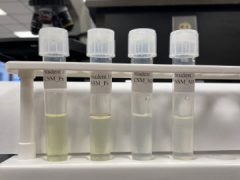 Megan-Ashcroft-Week1