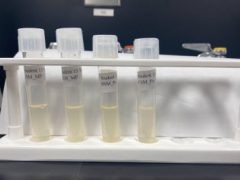 Megan-Ashcroft-Week2