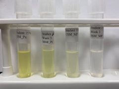 Megan-Ashcroft-Week3