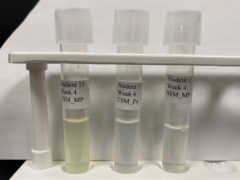 Megan-Ashcroft-Week4-1