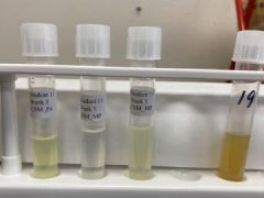 Megan-Ashcroft-Week5-1