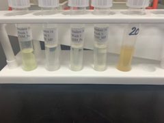 Sottosanti-Week5Results-1