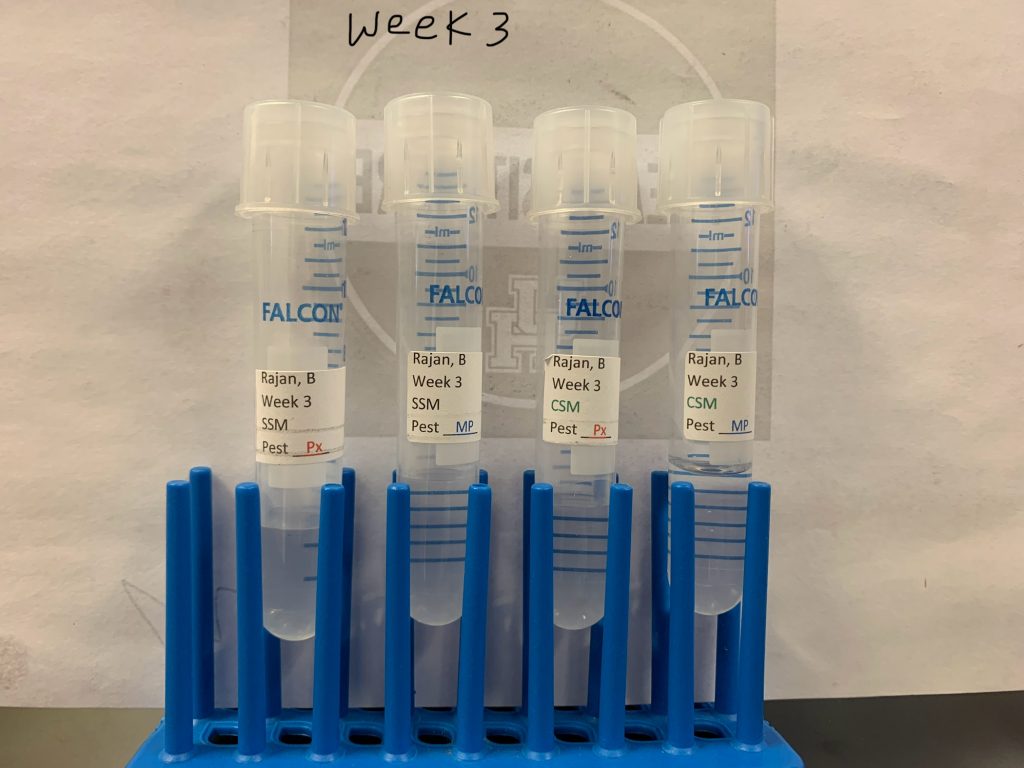Cricket Ground Soil Sample Analysis – ELN for ESRM