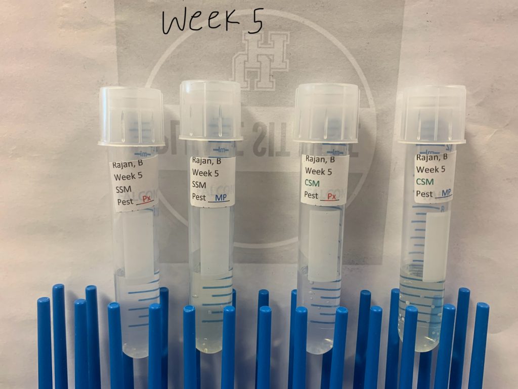 Cricket Ground Soil Sample Analysis – ELN for ESRM